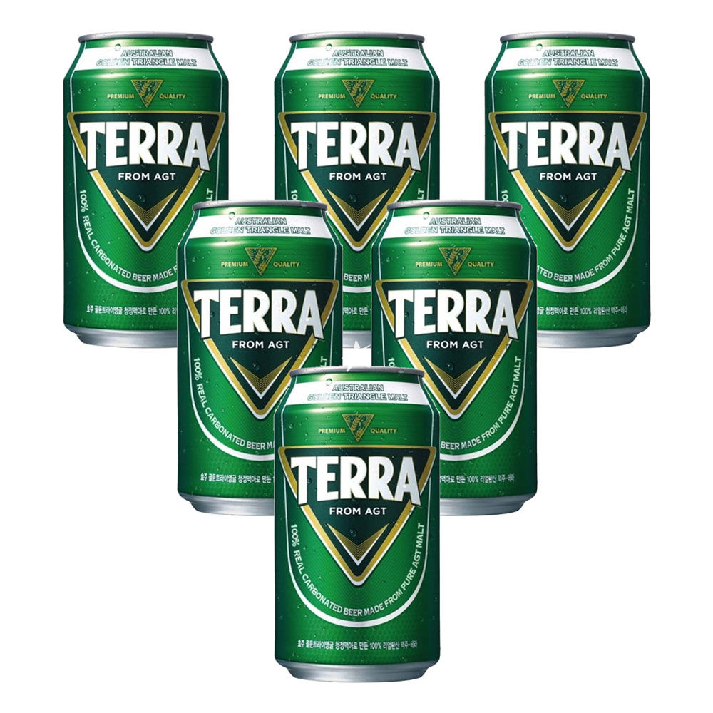 Terra Korean Beer 6pcs/pack (355mlx6cans | Lazada PH