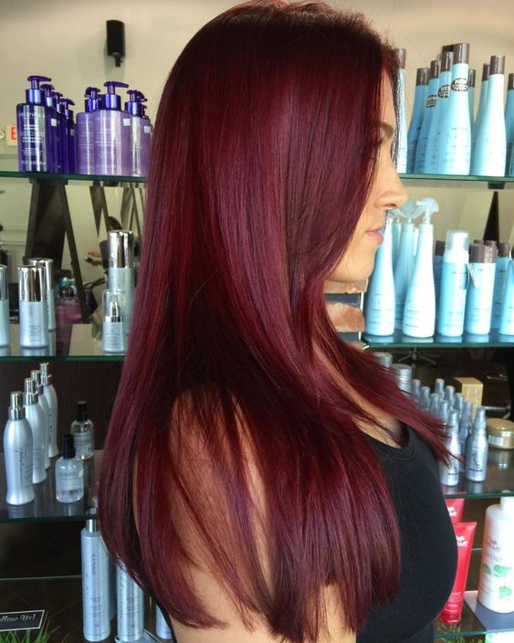 Deep Pomegranate Warm Red Wine Hair Color Burgundy Red Hair Coloring  Permanent Hair Color  Warm Burgundy Red Fashion Hair Color | Lazada PH