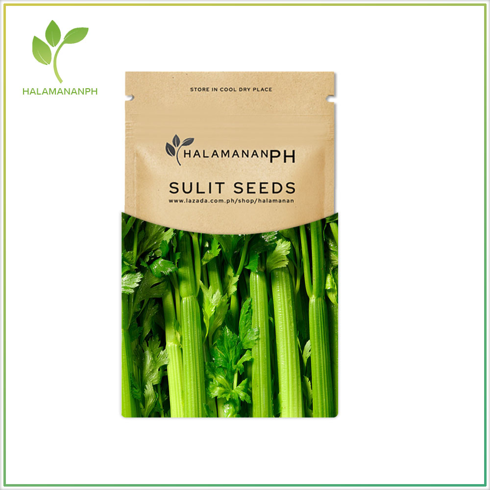 2500 SEEDS CELERY TALL UTAH IMPROVED VARIETY VEGETABLE SEED PACK
