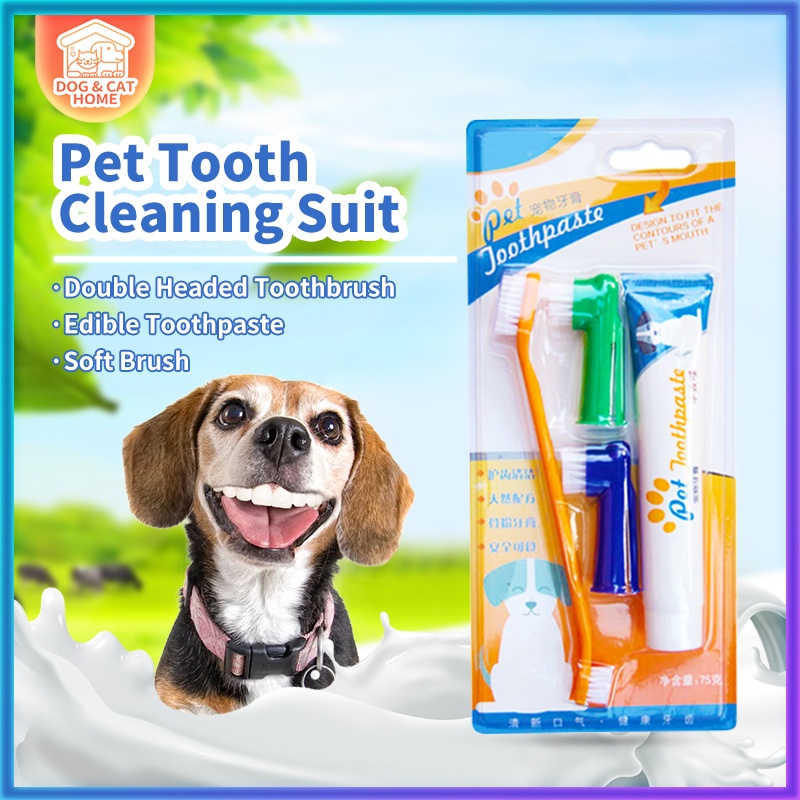 Dog Toothbrush And Toothpaste Pet Toothbrush Set w/ Toothpaste | Lazada PH