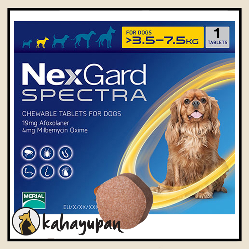 Nexgard Spectra Single Anti Tick Flea Mange and Deworming Chewable for