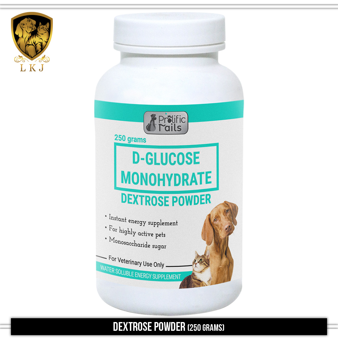 Glucose water best sale for dogs