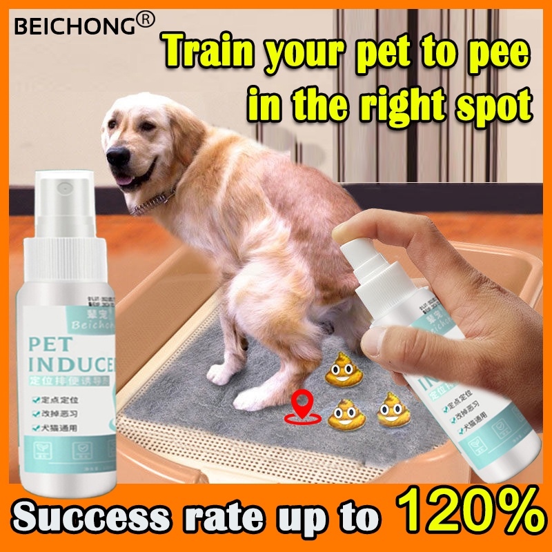 Pet Toilet Training Spray Potty Spray Dog Pee Inducer Train your pet to