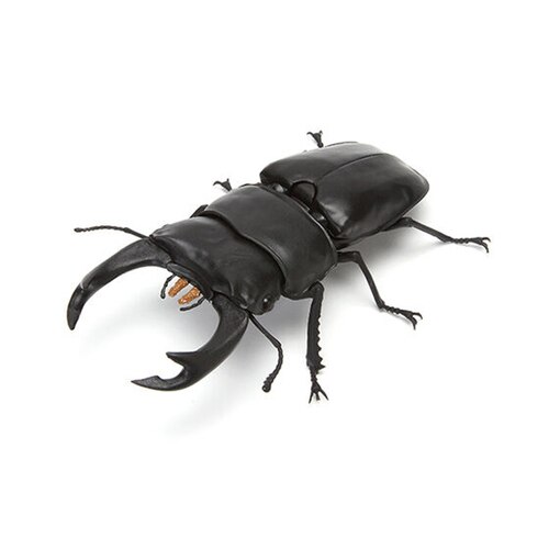 Bandai Gashapon Giant Kuwagata Insects Simulation Model Lucanidae ...