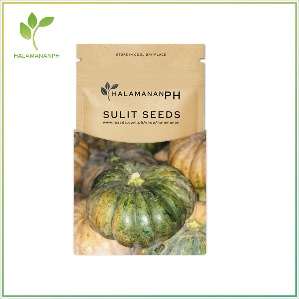 SQUASH KALABASA SUPER SULIT VEGETABLE SEED PACK [Halamanan PH