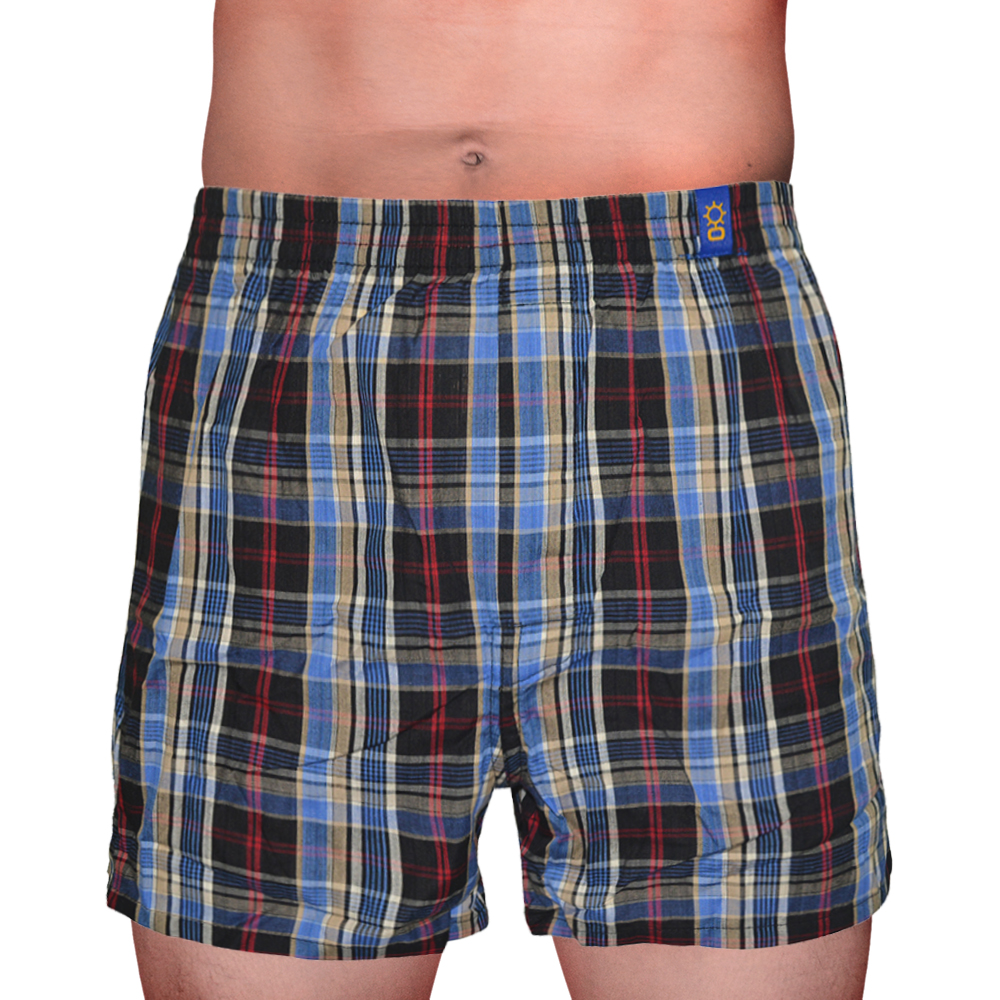 Sunjoy Checkered Boxer Shorts | Lazada PH