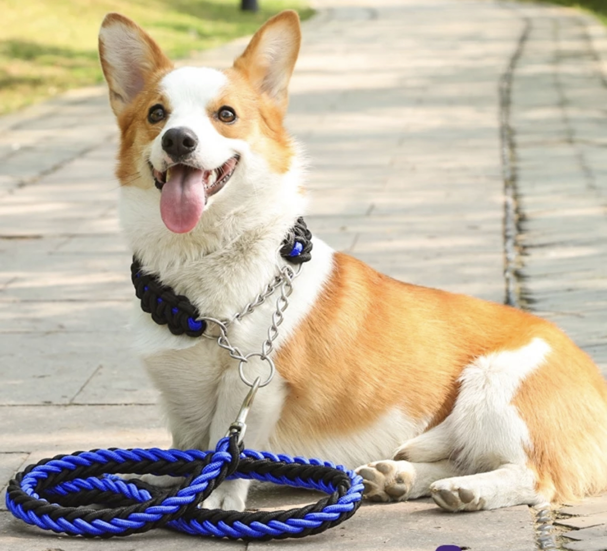 chain dog harnesses for large dogs