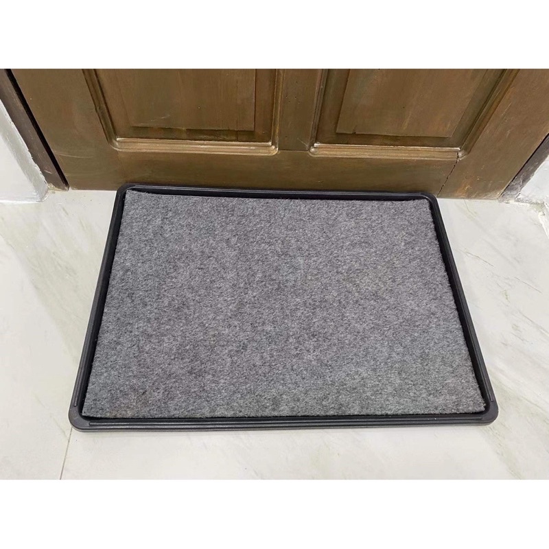 Disinfecting Mat Foot Bath Sanitation Mat durable Lazada PH
