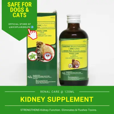 Renal Care Kidney Supplement for Dogs and Cats (120ml)