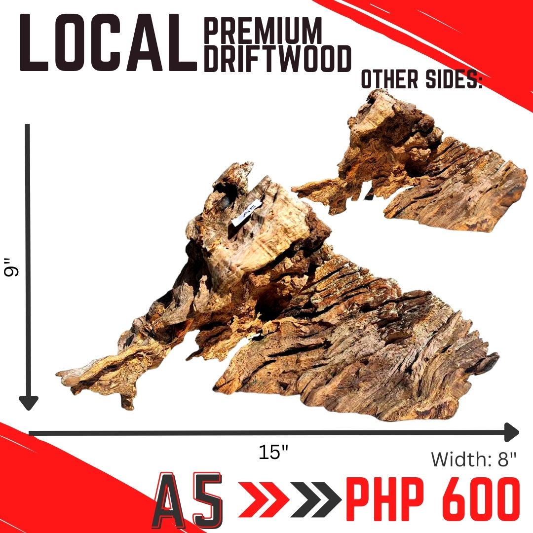 PREMIUM LOCAL DRIFTWOOD Hardwood for Aquascaping Aquarium