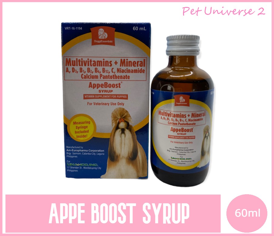 AppeBoost Vitamins Syrup 60ml | Lazada PH