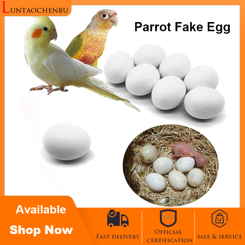 Parrot Fake Plastic Eggs Hatching Eggs for Cockatiel and LoveBirds