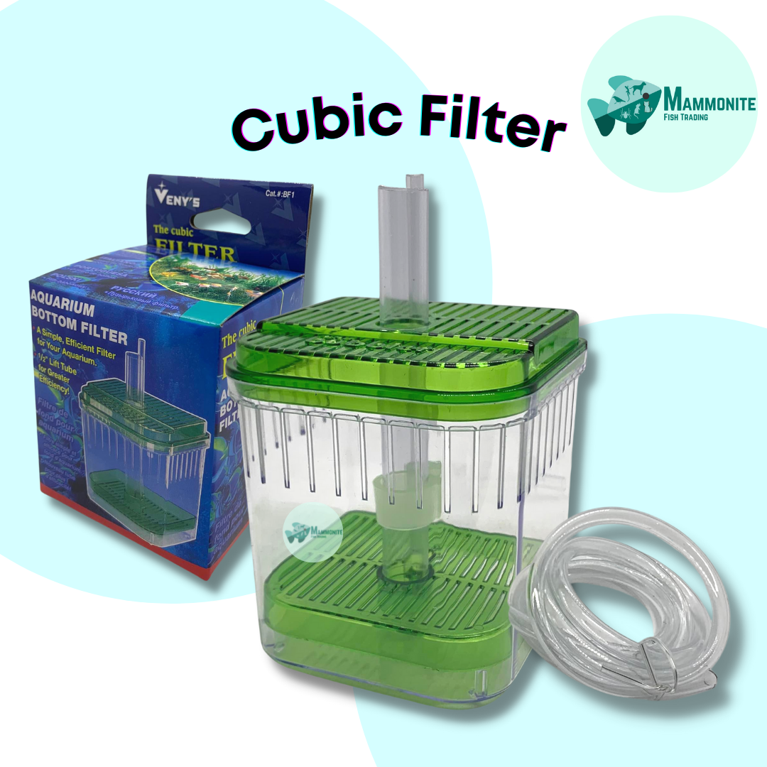 Aquarium Tank Cubic Bottom Filter BF1 Lift Tube with Hose Lazada PH