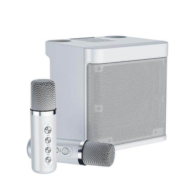 Portable Karaoke Dual Wireless Microphone Bluetooth Professional