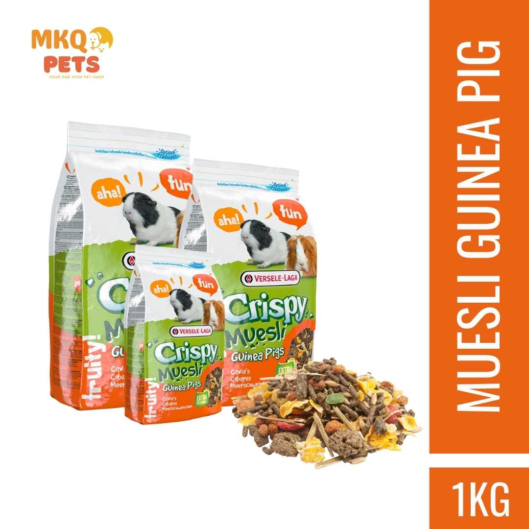 Crispy muesli guinea outlet pig