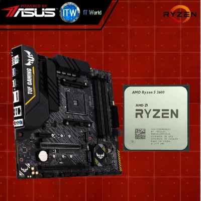 AMD Ryzen 5 3600 Desktop Processor (Tray type) with Asus TUF GAMING B450M-PRO II Motherboard Bundle