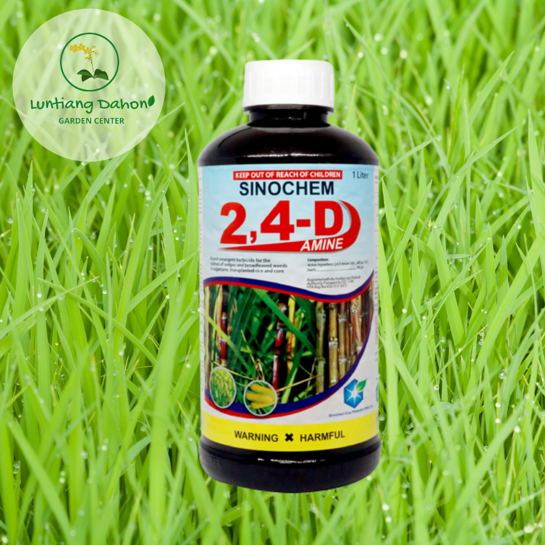 2,4D Amine Herbicide 1L Lazada PH