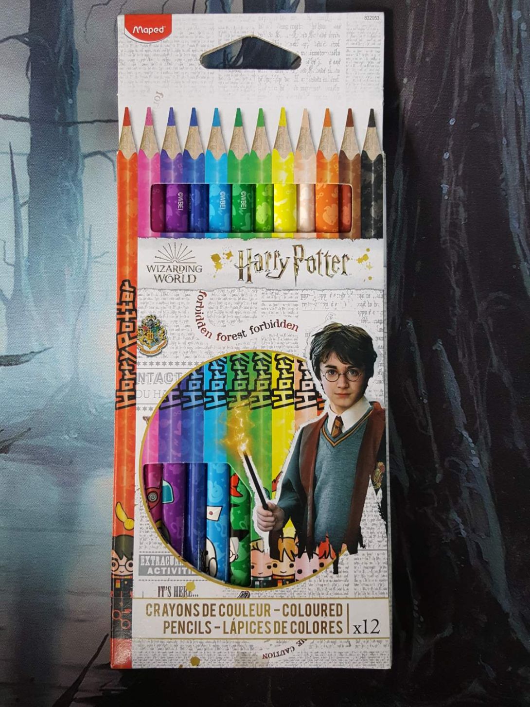 CRAYONS DE COULEUR HARRY POTTER X12