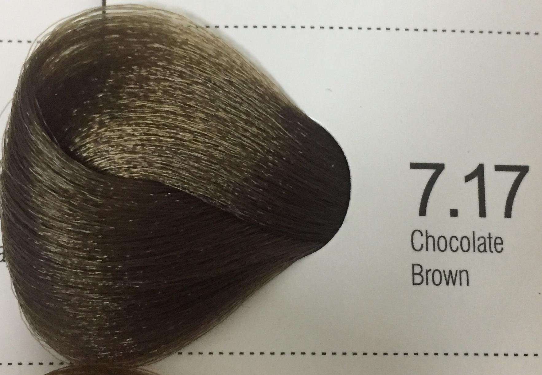 Freya Bremod Hair Color 7 17 Chocolate Brown With Oxidnat