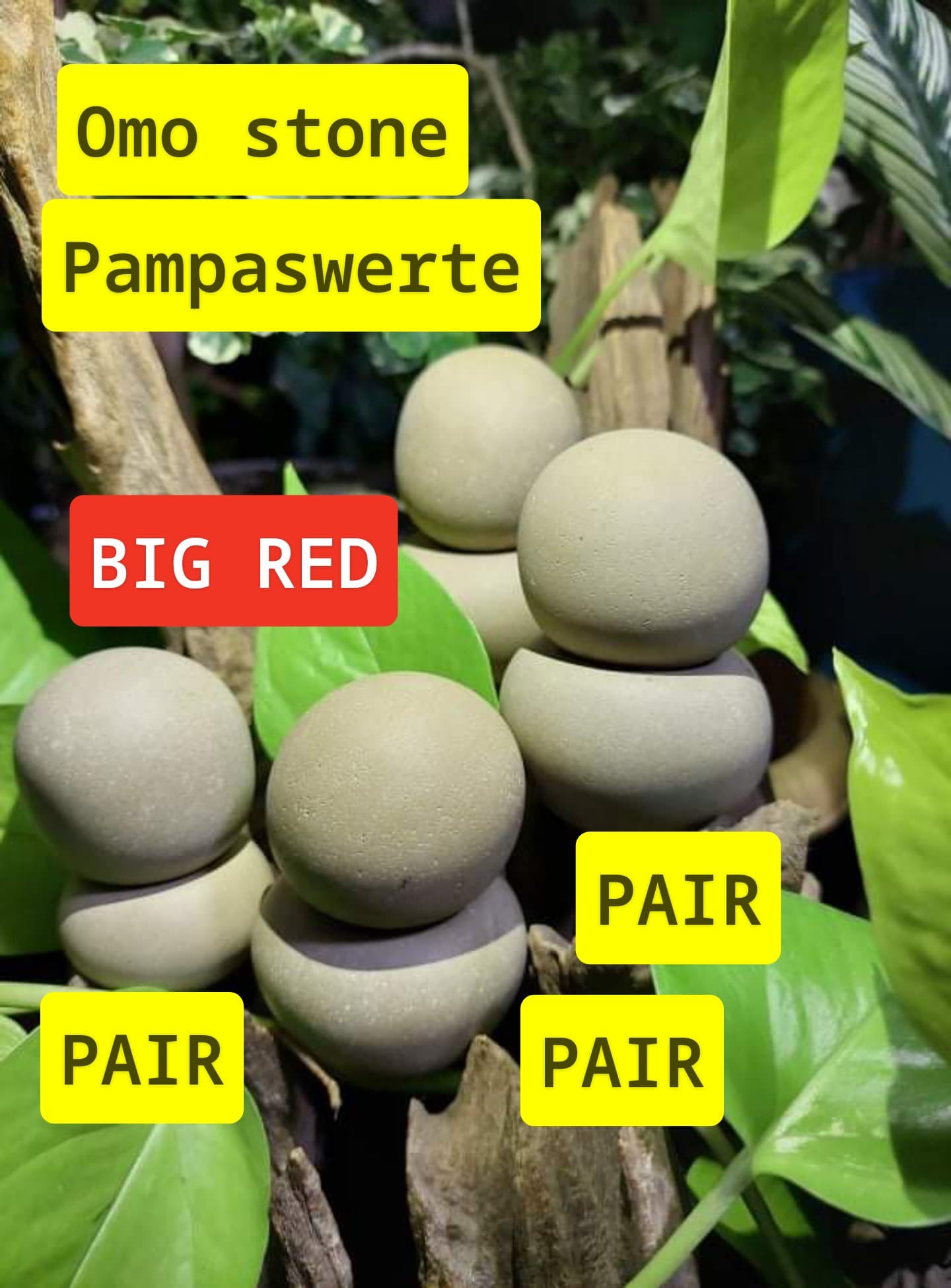 BATOOMO Natural (1Pair) PAMPASWERTE Lucky Charm Lazada PH