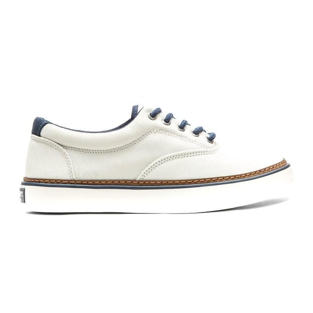 sperry cutter cvo leather