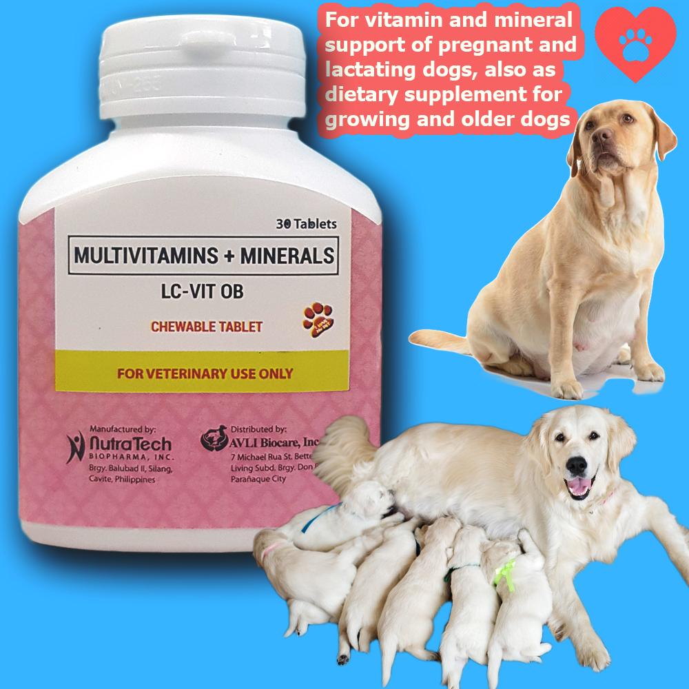 supplements for pregnant dogs