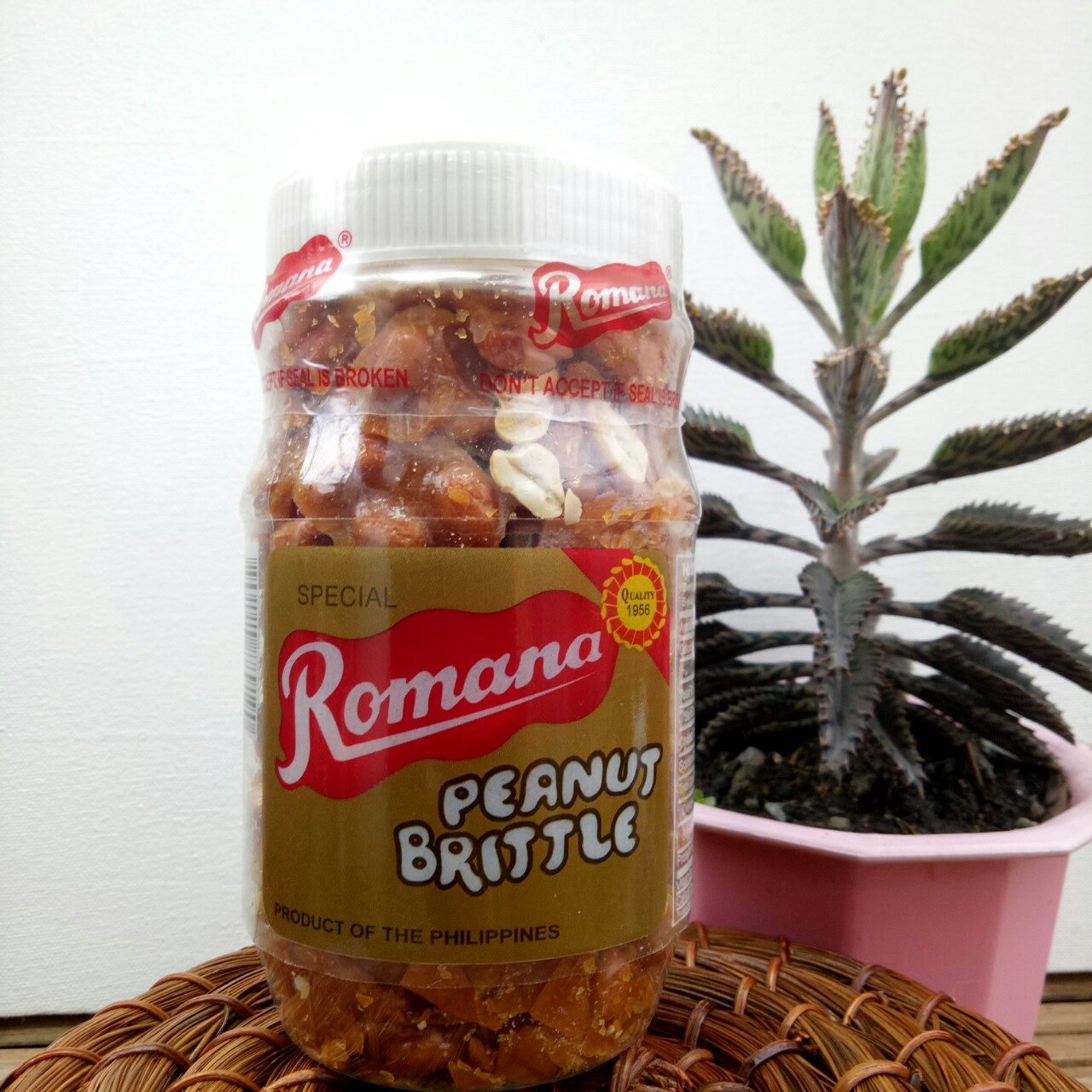Romana peanut Brittle Tall 310 grams, Baguio Pasalubong Lazada PH