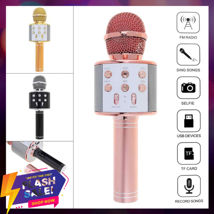 handheld ktv wireless microphone hifi speaker