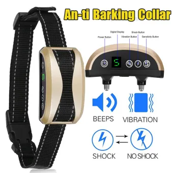 electric bark collar