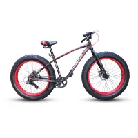 fat bike phantom