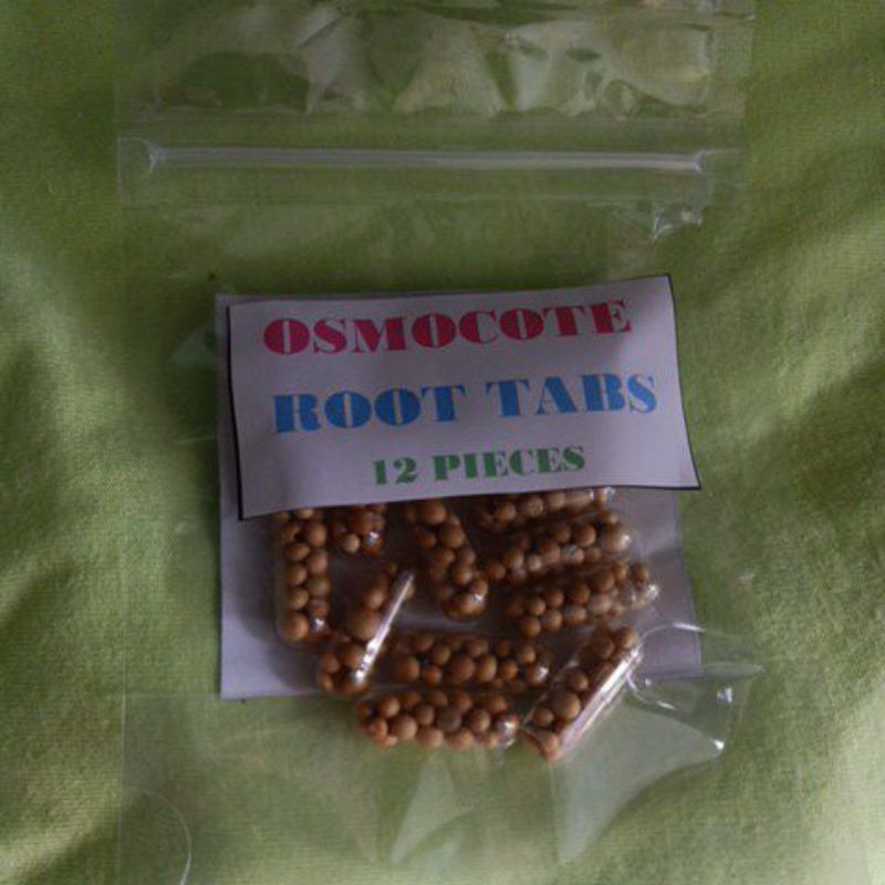 Osmocote Root Tabs (12 pcs./ 25 pcs.) Lazada PH