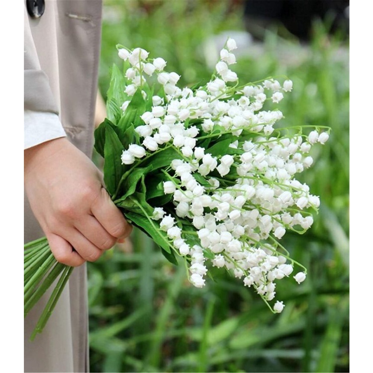 MA444 Hạt Giống 10 hạt Hoa Linh Lan