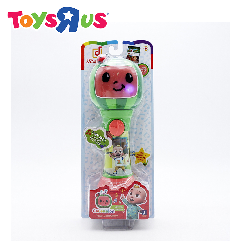 Musical Sing Along Microphone Lazada PH