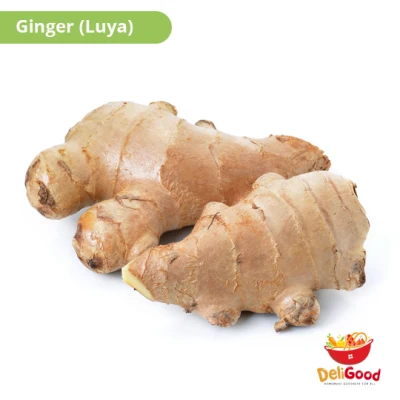 DeliGood Ginger (Luya) 500g