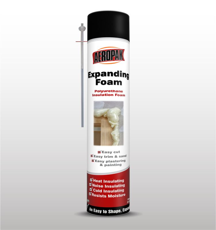 AEROPAK Expanding PU Foam Spray 750ML Lazada PH