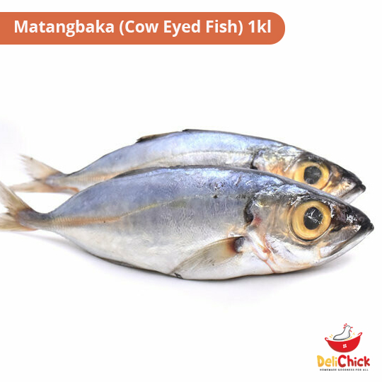 Matangbaka (Cow Eyed Fish) 1kl | Lazada PH