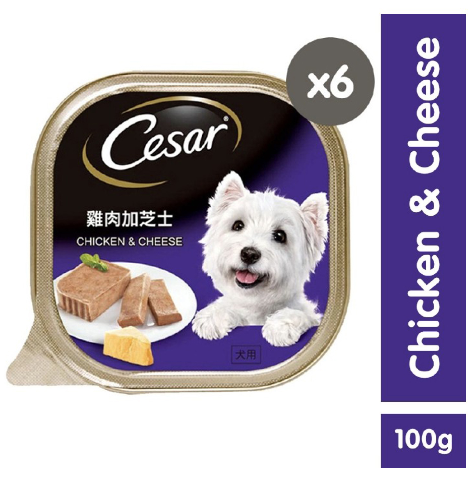 CESAR Wet Dog Food Chicken and Cheese Flavor Dog Food for Adult Dogs
