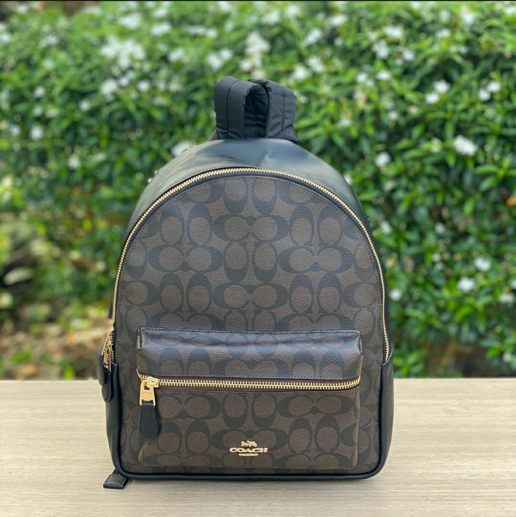 Coach F32200 Medium Charlie Backpack in Brown Signature Coated Canvas  Monogram with Black Smooth Leather - Women's Backpack | Lazada PH