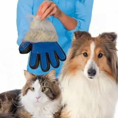 Magic Cleaning Brush Glove Gentle Efficient Pet Massage Grooming