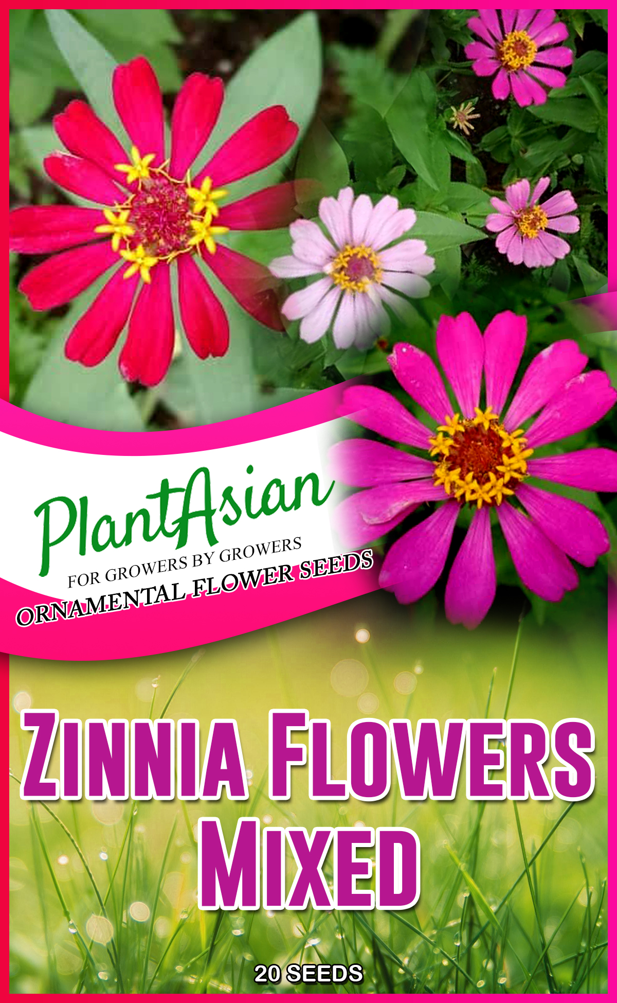 Zinnia Flowers Seeds Mixed Buy Sell Online Plant Seeds And Bulbs With Cheap Price Lazada Ph