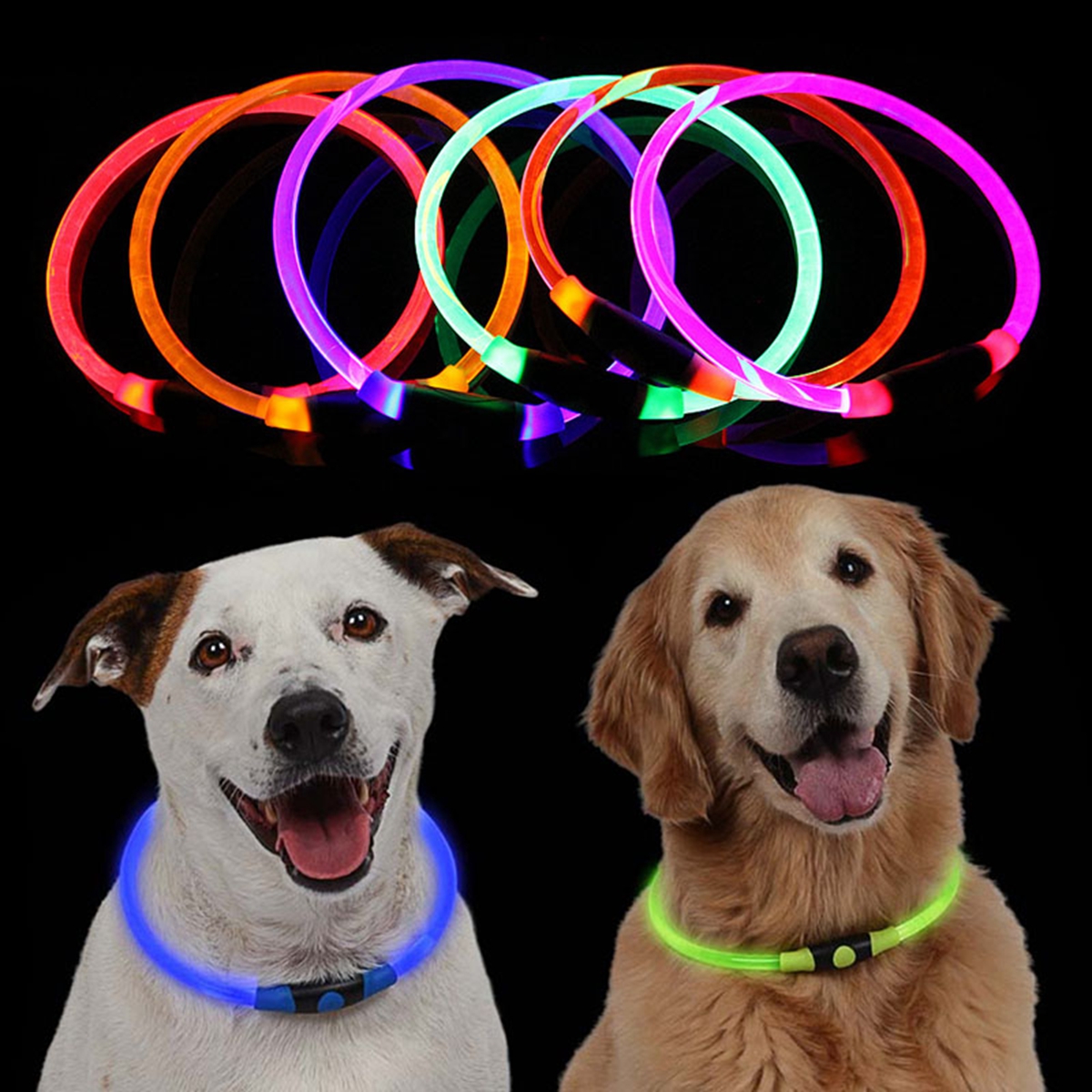 rechargeable lighted dog collar