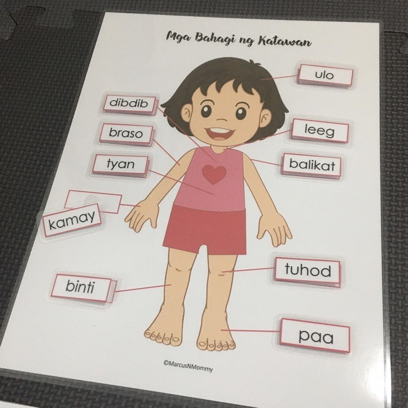 Parts of the Body (In Filipino) Activity Worksheet for Kids Lazada PH
