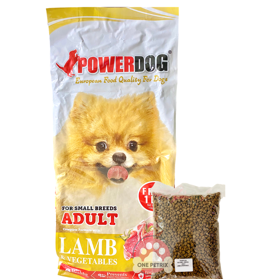 small adult dogs for sale