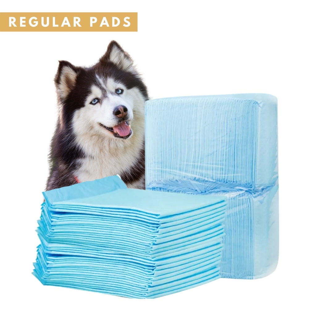 kszcL9Sa THICK CHARCOAL REGULAR Pet Pee Pad Dog Pee Training Pad Cat Pee Pad Pet Poop Training