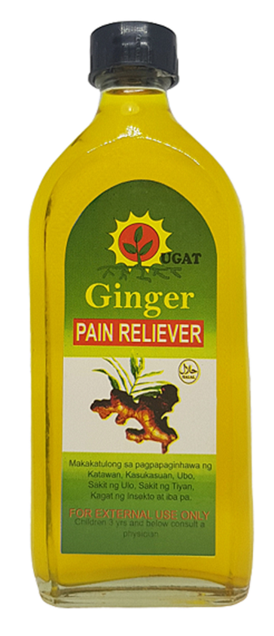 Ginger Oil Pain Reliever Oil 100 ml Lazada PH