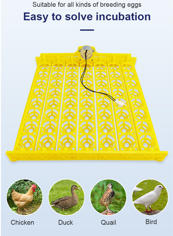 Automatic 56 Egg 220V Poultry Chicken Incubator Chicken Duck Quail Egg
