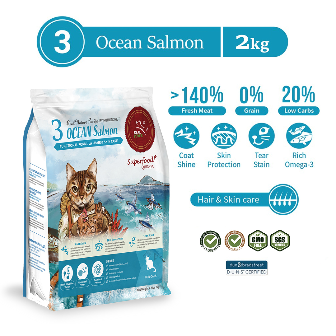 real-power-pet-food-holistic-cat-food-for-all-life-stages-superfood