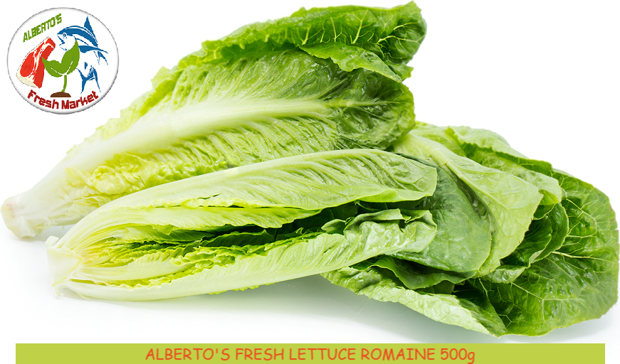 FRESH LETTUCE ROMAINE 500g Lazada PH