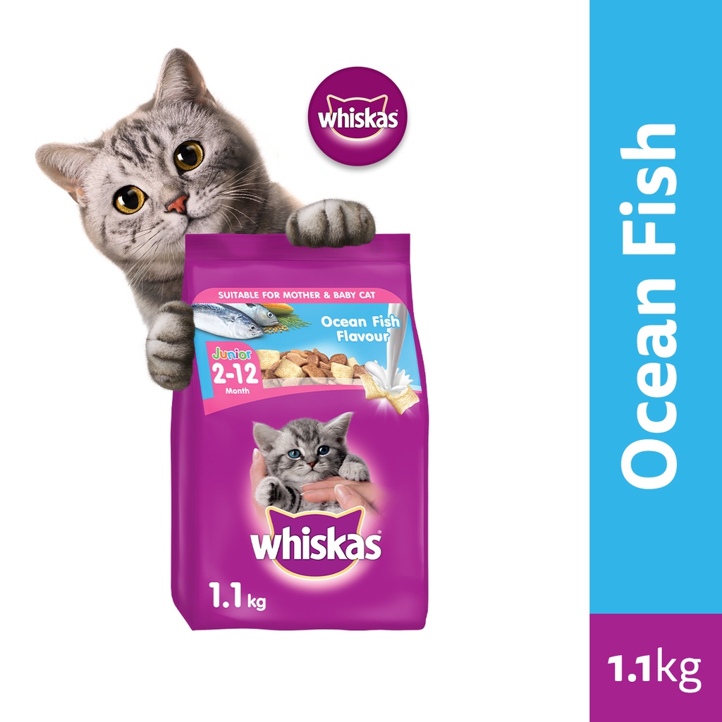 whiskas junior ocean fish 50g