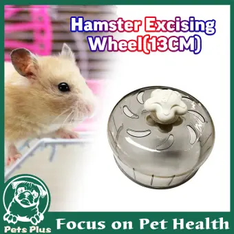 hamster toy on wheels